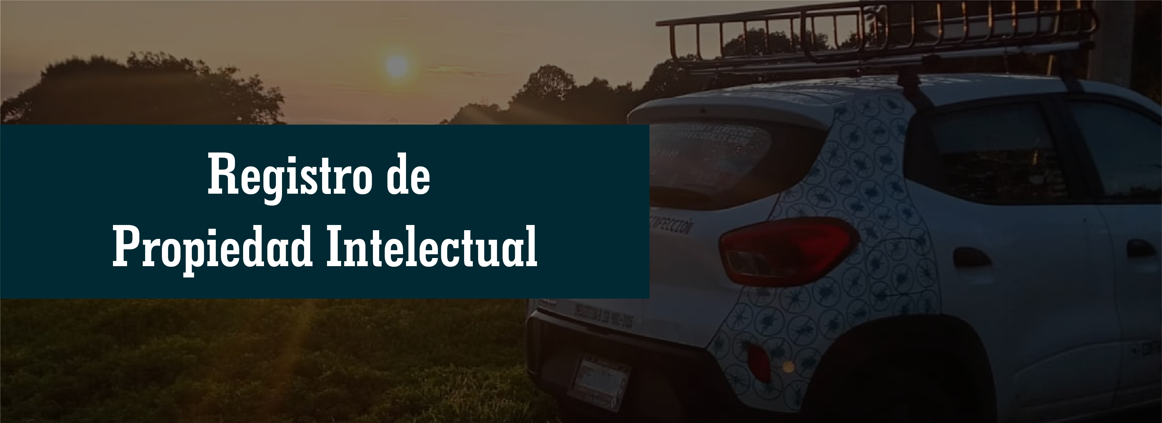 Imagen de Propiedad Intelectual